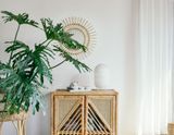  Rattan Cupboard 