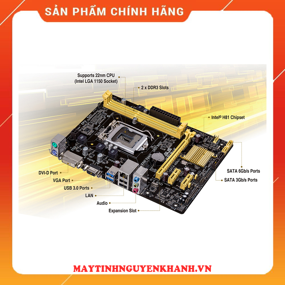 Mainboard Asus H81 MD ME Renew BH 36 THANG