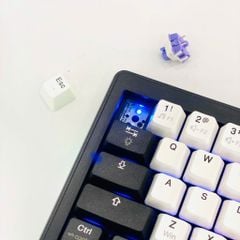 Bàn phím cơ DareU EK65s White Black Dream switch