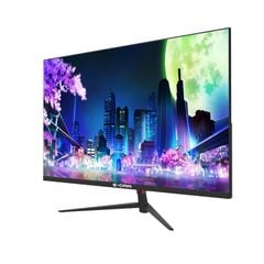 Màn hình 24 inch E-Dra EGM 24F100S 23.8 inch FHD IPS 100Hz 1ms