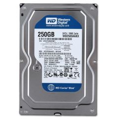 HDD WD BLUE SATA 250GB 7200 RPM NEW BH 2 NĂM