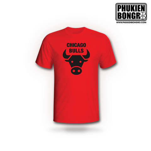  Áo phông bóng rổ Chiacago Bulls 