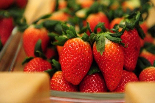 Dâu Tây Hàn Quốc Hà Nội