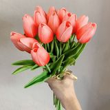 Hoa Tulip - Loài hoa đa sắc màu và ý nghĩa