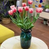 Hoa Tulip - Loài hoa đa sắc màu và ý nghĩa