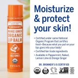  Son Dưỡng Môi Hữu Cơ Dr Bronner's Organic Lip Balm ORANGE GINGER 4g 