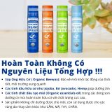  Son Dưỡng Môi Hữu Cơ Dr Bronner's Organic Lip Balm LEMON LIME 4g 