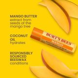  Son Dưỡng Môi BURT'S BEES, Hương Xoài (Mango), 4.25g, Hàng Mỹ 