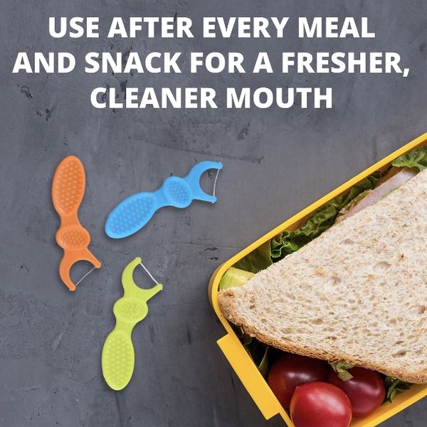  Tăm Chỉ Nha Khoa Cho Bé, PLacker, 90 Tăm, Hương Berry, Hàng Nội Địa Mỹ. 