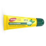  Son dưỡng môi Carmex Daily Care WINTERGREEN (Tuýp lẻ) 