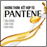  Dầu gội Pantene Pro V DAILY MOISTURE RENEWAL 375ml 