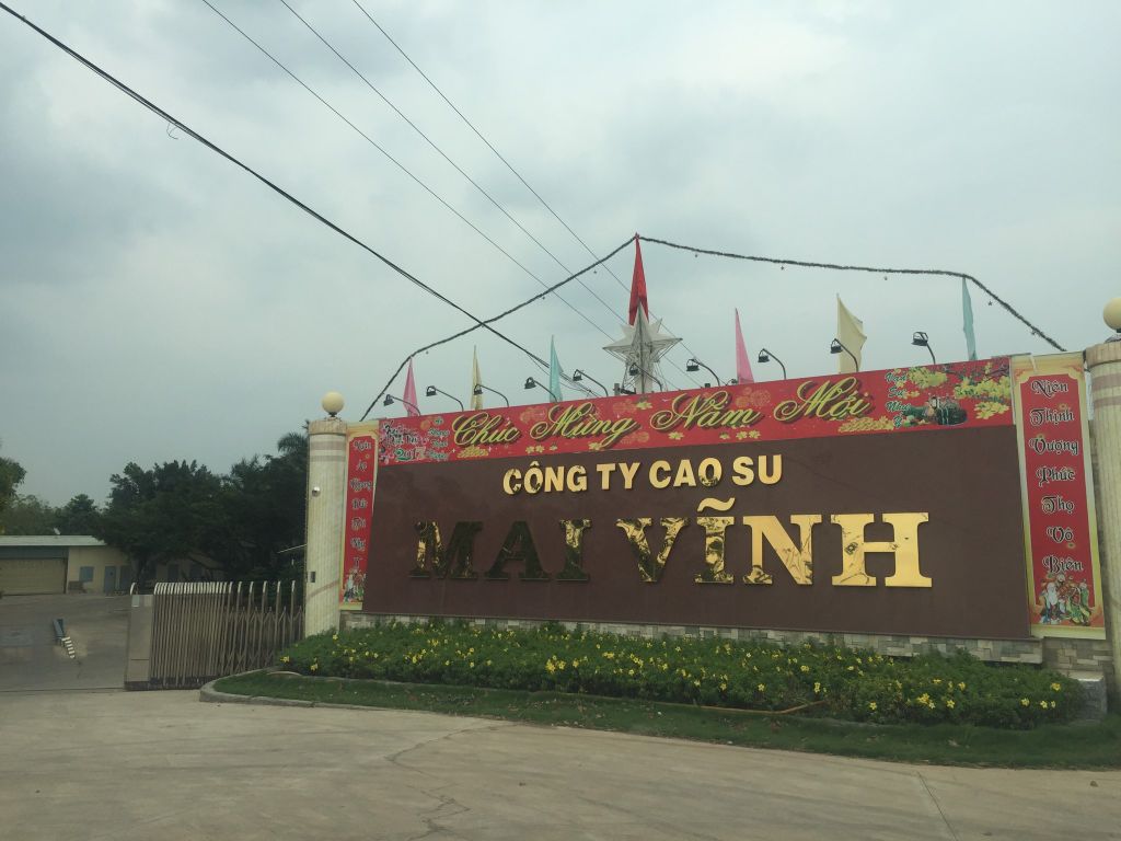 Công Ty Cao Su Mai Vĩnh