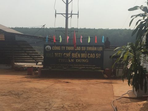 Công Ty Cao Su Thuận Lợi - Bình Phước