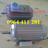 Motor nâng hạ cầu