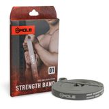  SWOLE Strength Band 