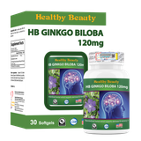 HB GINKGO BILOBA 120mg