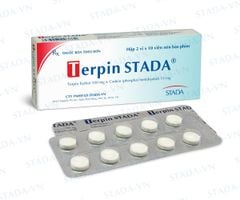 Terpin STADA®