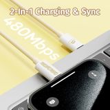  Cáp Sạc Nhanh C to Lightning/C to C/USB to C ROCK Crayon Shinchan PD100W/6A (1M, Fast Charging) 