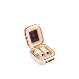 Tai Nghe Không Dây ROCK Retro Style TWS Earphones (Customize Version) 