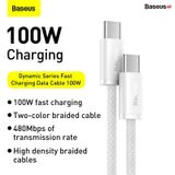  Cáp Sạc Siêu Nhanh Baseus Dynamic Series Fast Charging Data Cable Type-C to Type-C 100W 