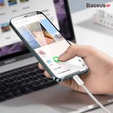  Baseus Dynamic Series Fast Charging Data Cable Type-C to iP 20W 