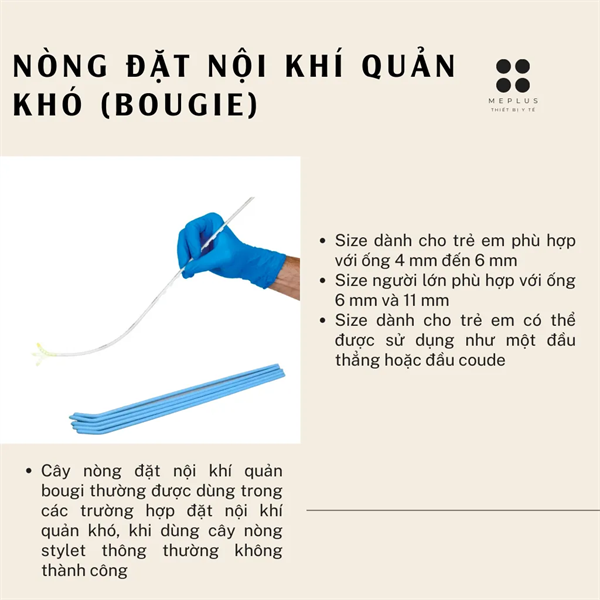 Cây Thông Nòng Ống Nội Khí Quản