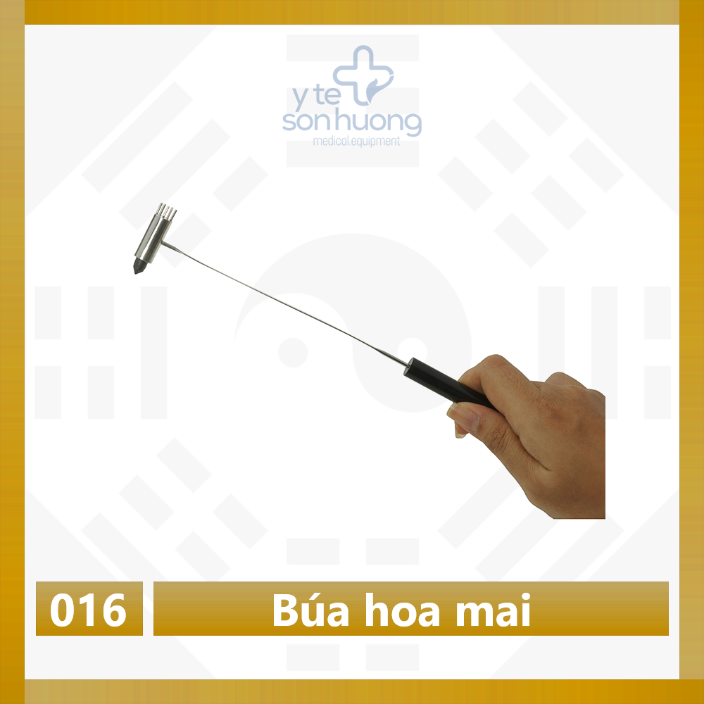 Búa diện chẩn hoa mai