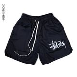  QS22 Short Kaki Nike Stussy Basic 