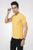 Áo t.shirt trơn APKB030VAG