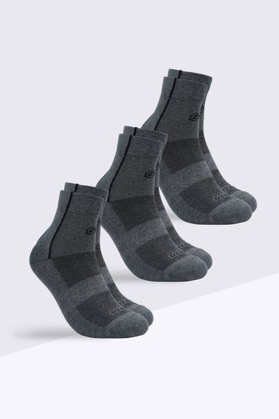 Combo tất nam cổ cao in Tezo - 24CBTCCA008