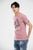 Áo t.shirt họa tiết APKH030HOG