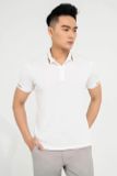Áo polo nam thiết kế Biluxury - 6APCT006