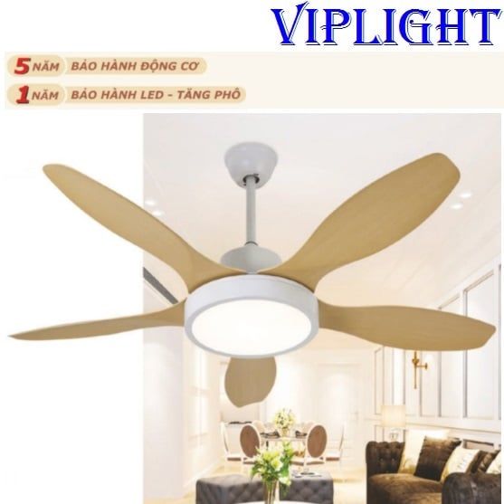 QUẠT TRẦN ĐÈN TRANG TRÍ 6141