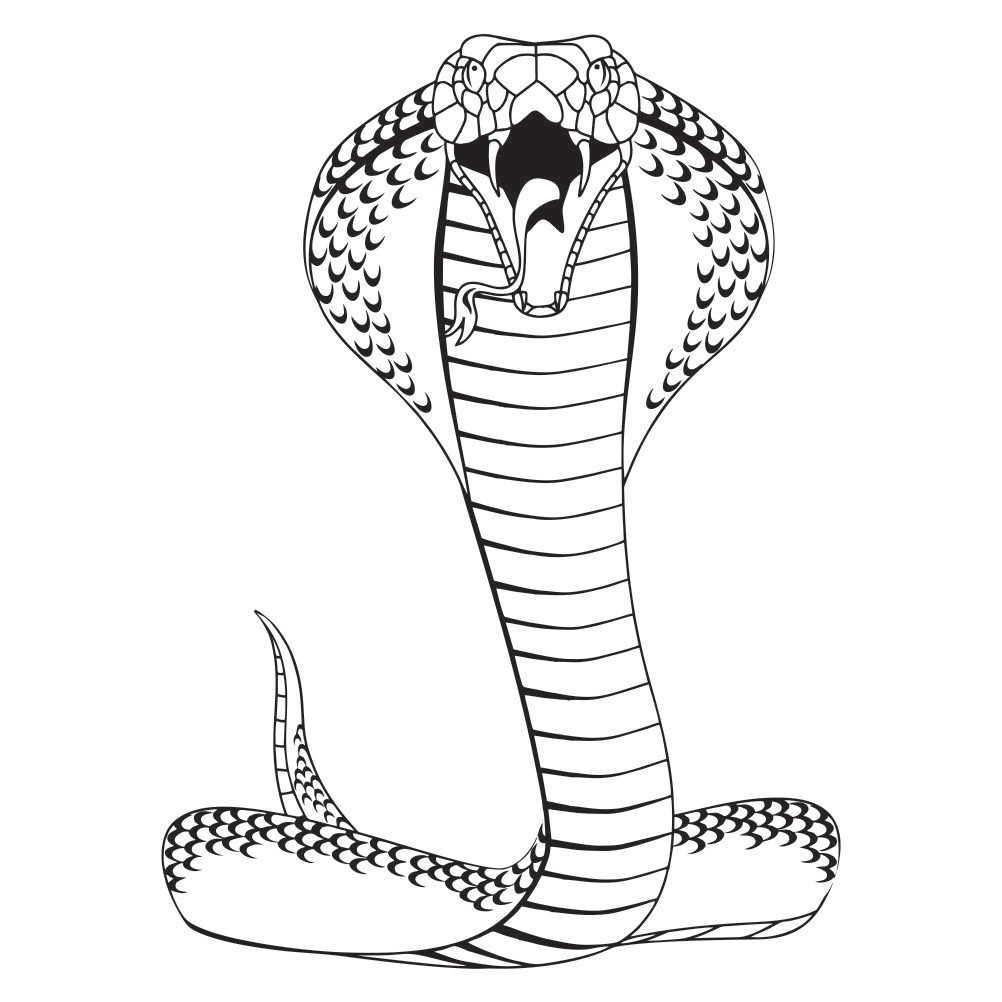 Nhiều mẫu Hình vẽ rắn đẹp cho bạn lựa chọn
