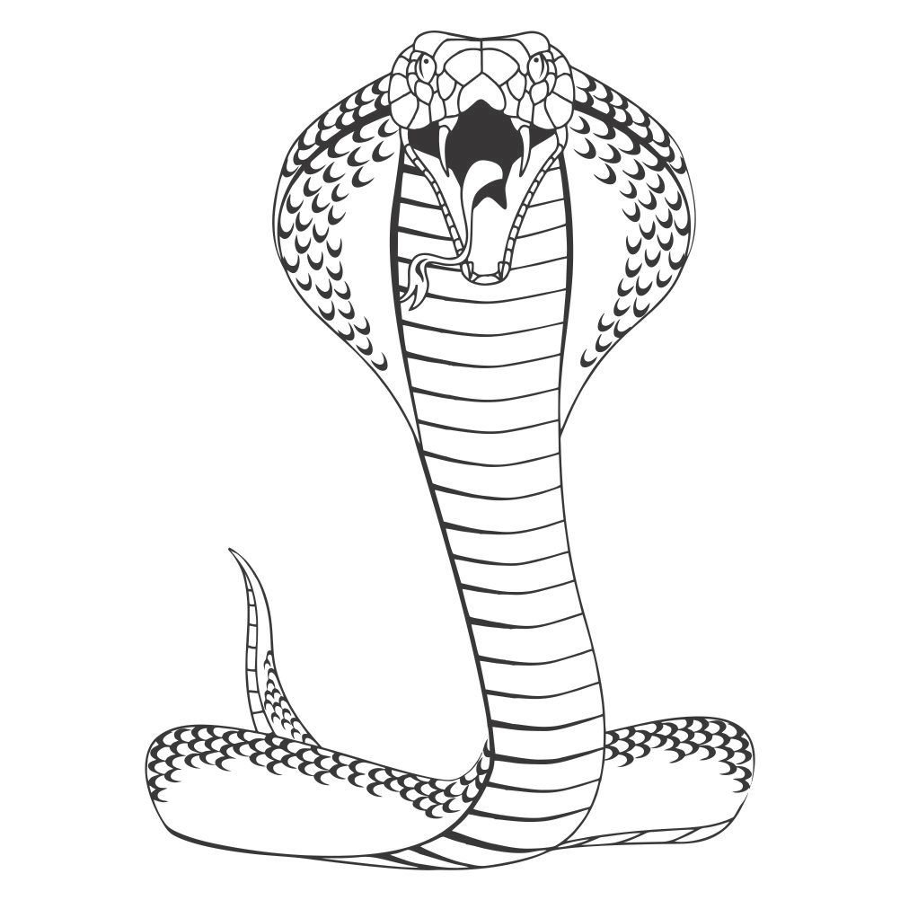 Con rắn 1 – Davis.vn