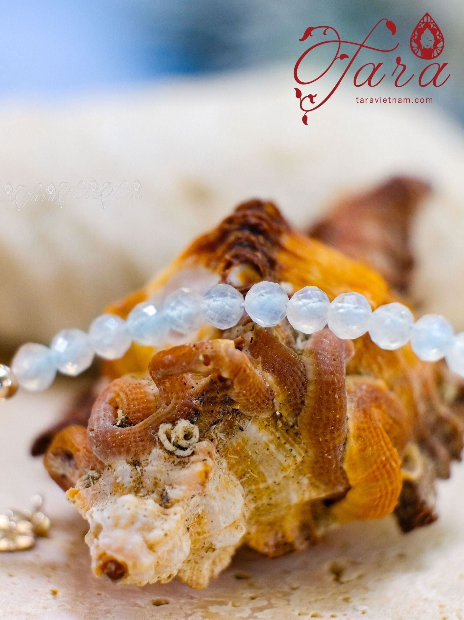  Vòng Mài Giác Moonstone/ Xà Cừ 