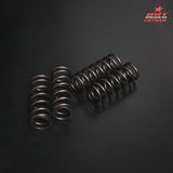  Lò Xo Nồi Ninja 250 / R25 / CBR250 / R3 / MT03 (50.1 - 19.9 - 4Pcs) 