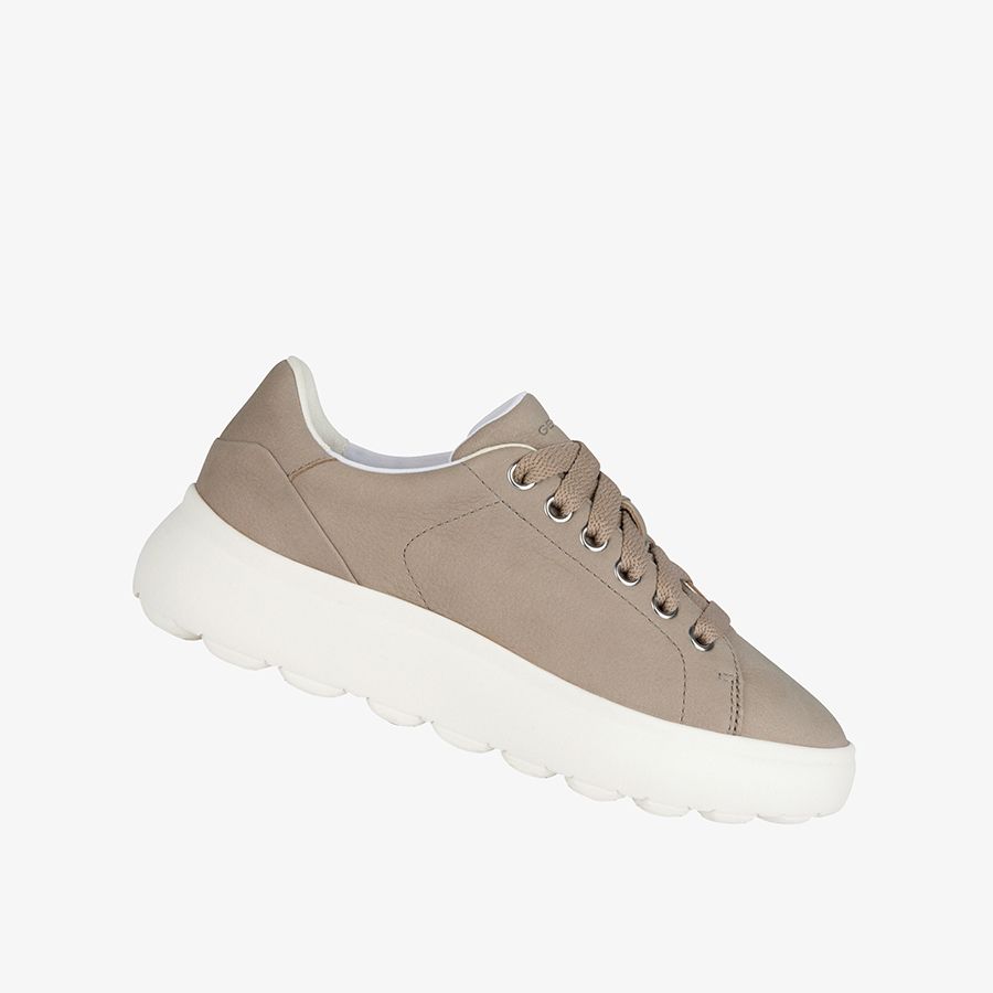  Giày Sneakers Nữ Spherica Ec4.1 