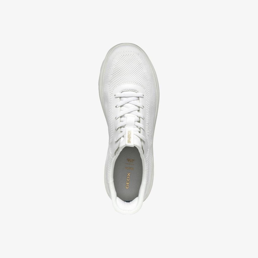  Giày Sneakers Nữ Spherica Plus 