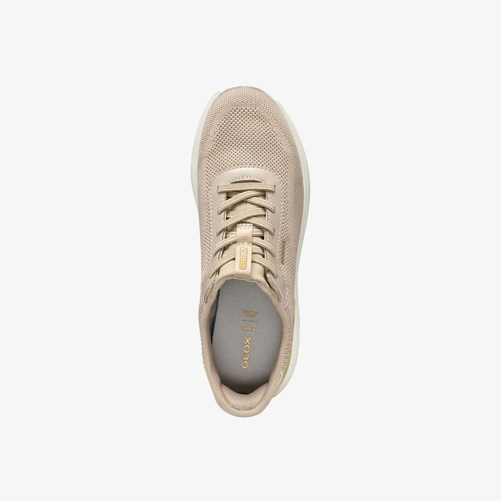  Giày Sneakers Nữ Spherica Plus 