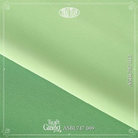 Vải Lụa Tuyết Giang Màu Xanh Lá Nhạt 1m2 ASBL747012