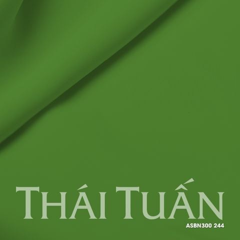 ASBN300244 Vải Lụa Hồng Ngọc Khổ Nhỏ Màu Xanh Lá