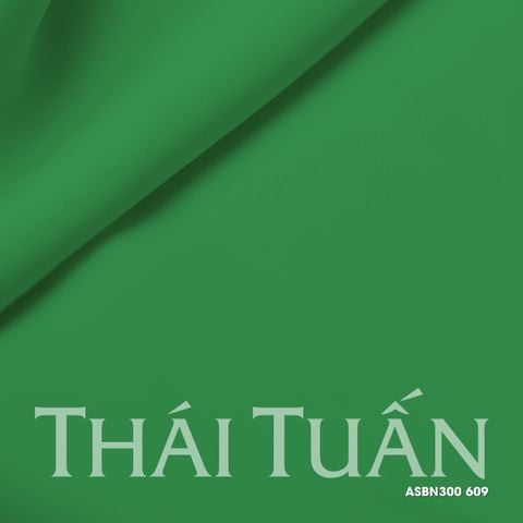 ASBN300609 Vải Lụa Hồng Ngọc Khổ Nhỏ Màu Xanh Lá