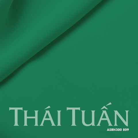 Vải Lụa Hồng Ngọc Khổ Nhỏ Màu Xanh Lá Trầm ASBN300809