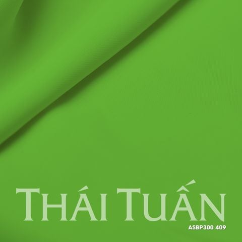 ASBP300409 Vải Lụa Hồng Ngọc Khổ Nhỏ Màu Xanh Mạ