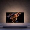 Google Tivi Xiaomi Q2 50 inch