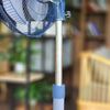 Quạt cây đứng Minata MSF1811 bán công nghiệp