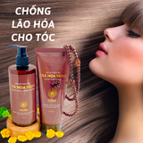 DẦU GỘI THẢO DƯỢC TRÀ HOA VÀNG - GOLDEN CAMELLIA HERBAL SHAMPOO