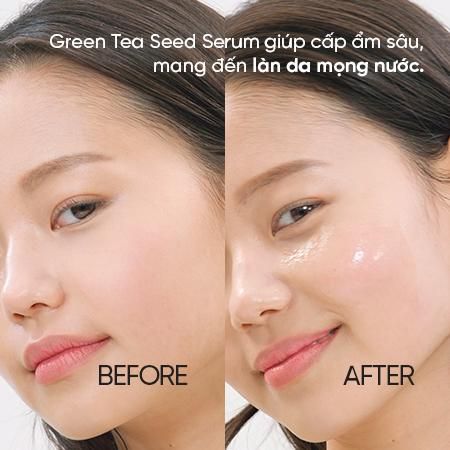 INNISFREE_Serum Dưỡng Ẩm Green Tea Seed Tri-biotics 80ml