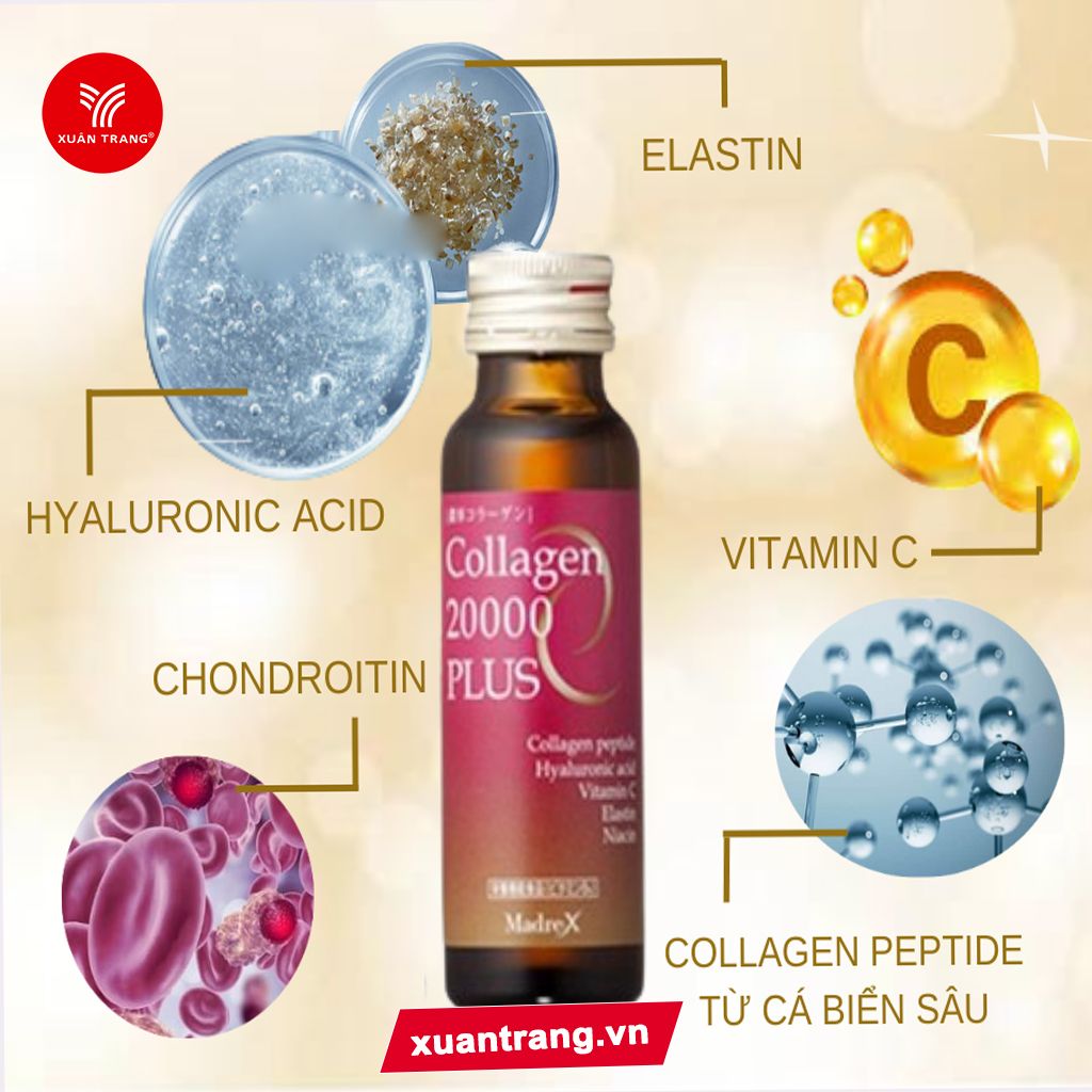 COLLAGEN 20.000 plus 10 chai/hộp VCx100